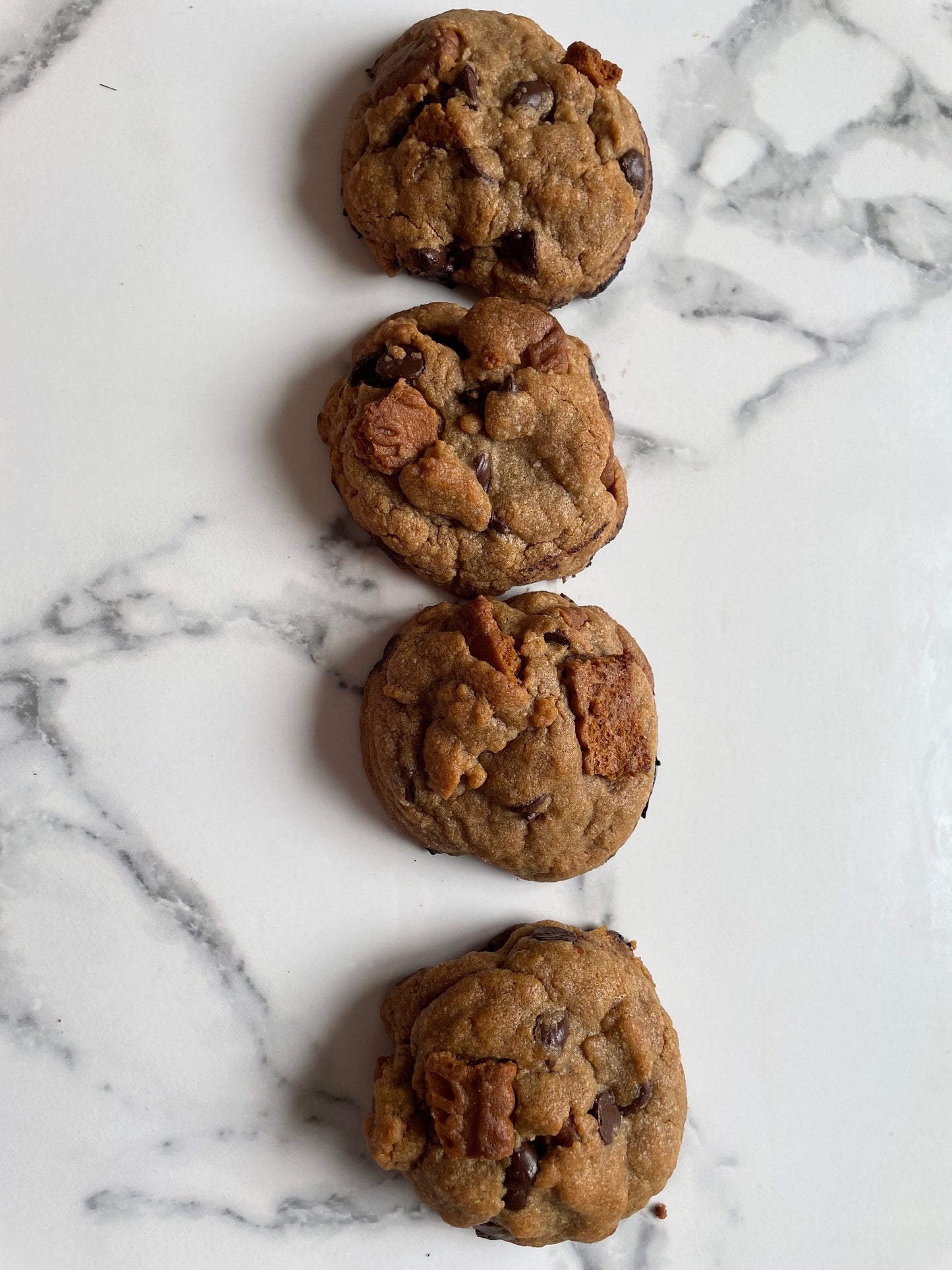Lotus Biscoff Chocolate Chip Cookies - Delicious Biscuits, Gourmet Treat for Cookie Lovers